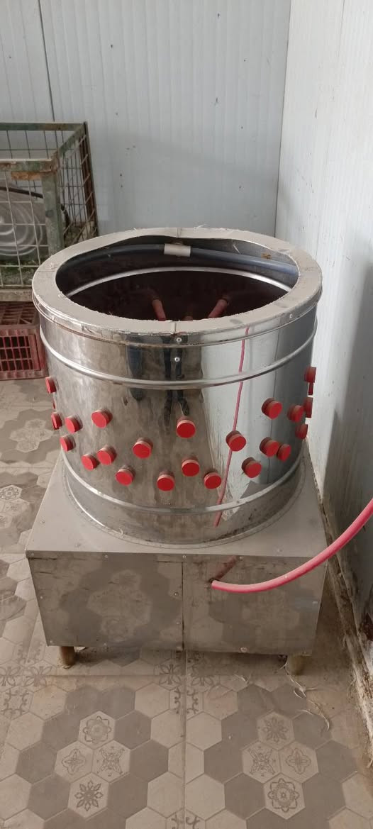 هلاسه دجاج مستعمله قليل جدا للبيع للاستفسار عل مازنجر او عل رقم *********** ابو مرتضى
