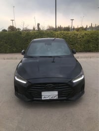 فيلوستر ٢٠١٩ • صبغ قطعة • أربيل