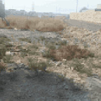 حله بزوير الغربي • ٢٥٠م • طابو زراعي