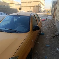 طيبة • اصفر • كربلاء