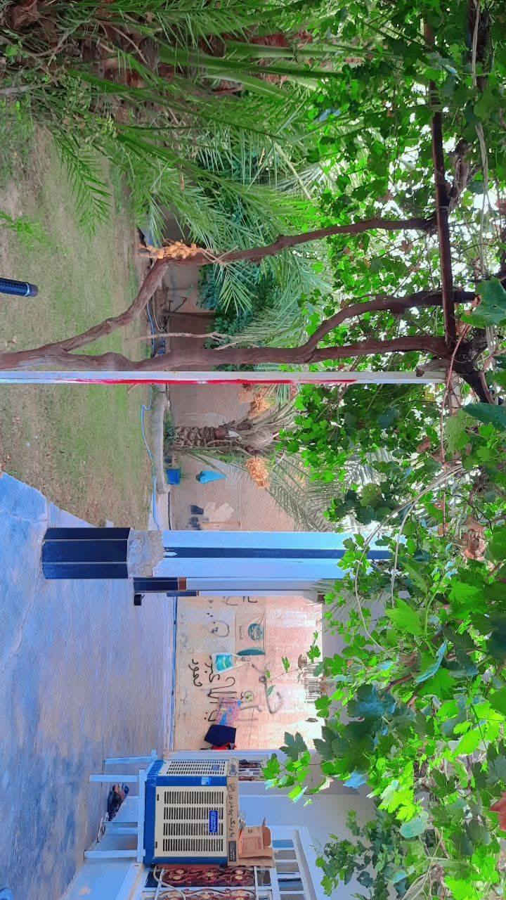 بيتين للبيع .المساحة ٧٠٠ متر مع حديقة .مع كافة الخدمات ماء مجاري وتبليط. العنوان الهارونية قرية صخر.
للتواصل.***********
