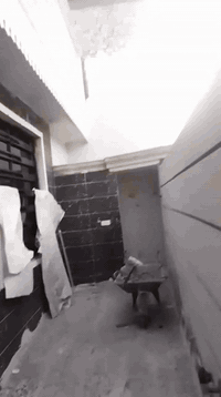 دار للبيع حي الكوفه المساحه ١١٥ متر يم دلاليه السيد مقابل شارع المخازن...