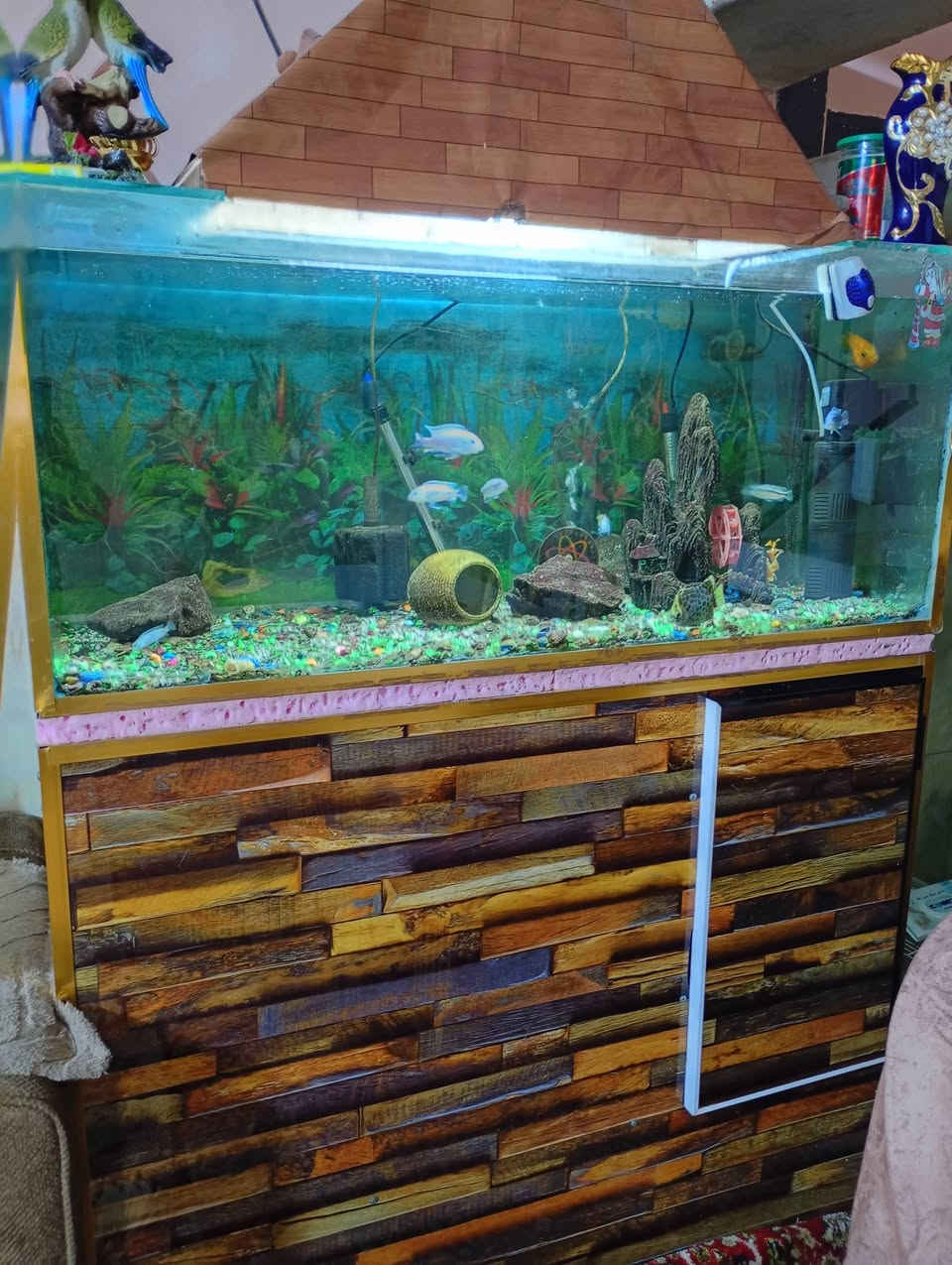 السلام عليكم حوض أسماك زينه للبيع مع كافة ملحقاتة قياس الحوض 120 ونزال 50 جام ابو العشرة السعر 165 الشراي يتصل ***********
