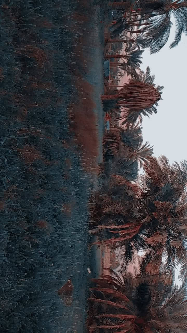 سلام عليكم
للبيع ارض دونمين ونص 
سند 25
متوفر الماء الكهرباء فول والله 
يحتوي على بيتين ومشتملين وهيكل وحقل دجاج 
العنوان /. بغداد التاجي قرب سيطرة الشؤن القديمه 
رقم ***********
