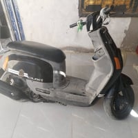 بوليسي للبع مفتوحة ولفات نضافة فول الحلة من الصورة تعال شوف بعينك دبل ...