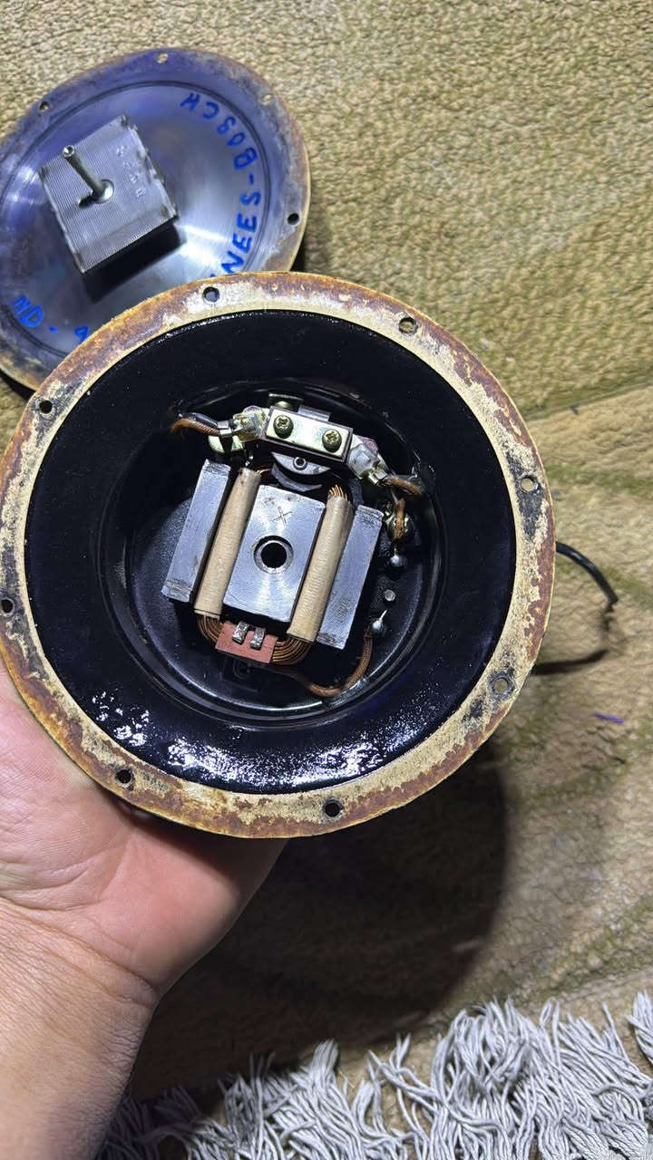 سلام عليكم ♥️🫶
هورنات اندي شغل انيس هورنات نضاف ونغمه حلوه وناعمه /مكاني نجف (***********）💫
