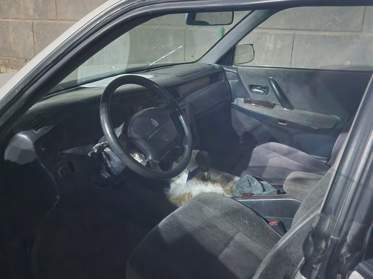 بيع ٢٨ وبيها او مراوس ملكه
كير محرك حداده تبريد 
كهربائيات شاشه كامره 
سياره حلوه ومابيها نقص بديها حلو باور مشط تايرات 
حتى سبيرها بيها
مكانها ناصريه سوق الشيوخ 
***********
