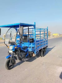 ستوت • بغداد السيد • إيراني