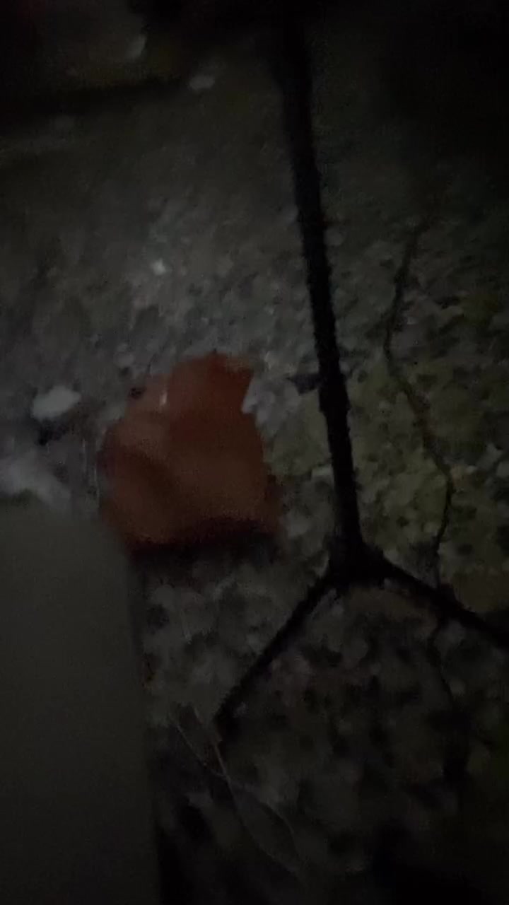 متوفره


**إذا كنت صاحب هذا الإعلان وتريد حذفه لأي سبب، رجاءا أرسل رسالة إلى الدعم الفني**