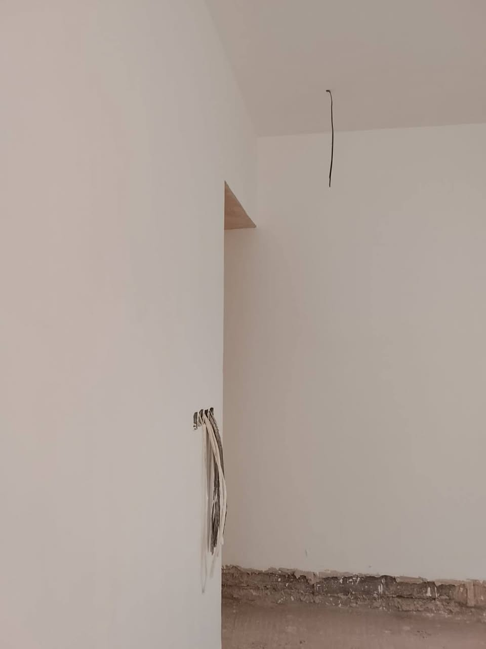 لباخ متفرغ حاليا لباخ لط جص سمنت بورك مستمر بلعمل شغل درجه اولى اتصل على هذه لارقام وبيك خير ودلل والرقم لاسيا بي وتساب *********** ***********
