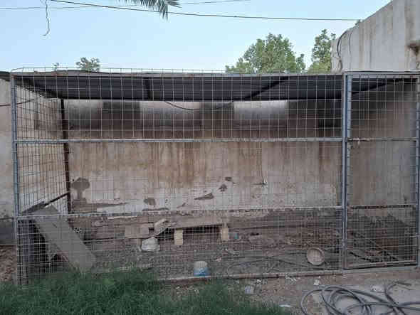 قفص حديد للبيع سعر 300 وبي مجال تواصل ***********
