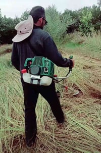 تنظيف حدائق • منازل • کەلار