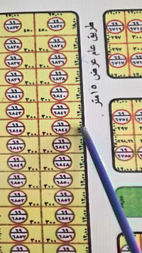 مقاطعه ٦٩ • ٣٠٠م • طابو صرف