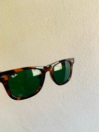 راي بان • وايفر • أصلي