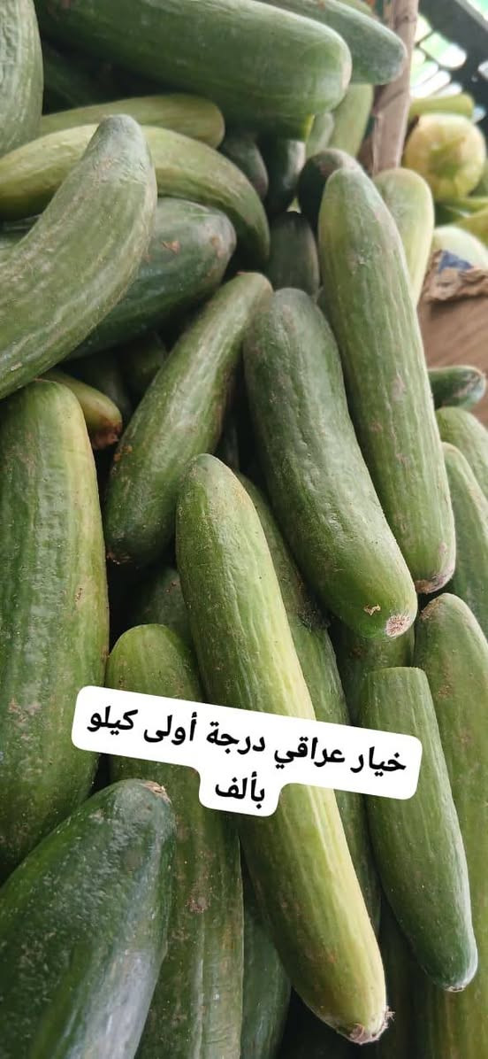 #كل_يوم_طلبيات_مفتوح_ومسواك_جديد_متوفر_يوصلك_للبيت_فقط_عليك_تحجز_وبالخدمة
 🍎🍉🥦🥕🍓🌶🍒🍋🍄☘️🫛🌱🔥🔥🔥🔥🔥
#متابعين_فواكه_وخضروات_ابومصطفى_في #خانقين
‏
‏🔹 «اختار المعروض بالصور والأسعار الظاهرة امامك وأرسل الطلب عالواتساب أو المسنجر»  على الرقم الاسفل👇

‏
‏                 الواتساب  ***********.
‏                 التليكرام ***********
                 الفايبر ***********
                ماسنجر / فواكه وخضروات ابو مصطفى 
#الجميع

‏
