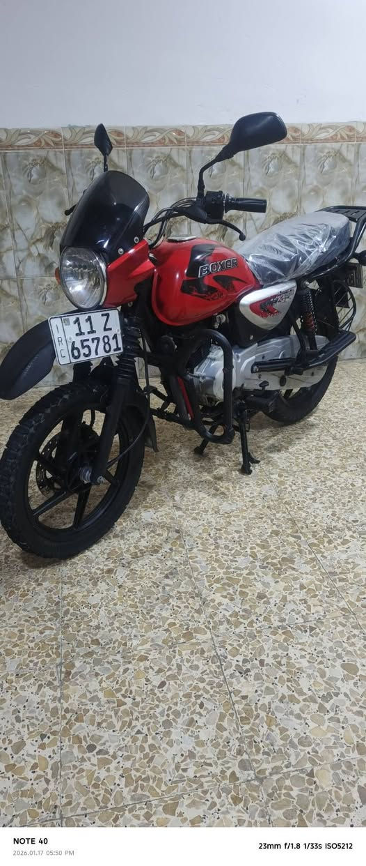 يا الله
السلام عليكم بوكسر جبلي موديل 2023

دراجه مكفوله كفاله عامه ماشية سبعه تالاف استخدام شخصي دراجه بحاله وكاله بيه منضومه زنون رقم بغداد انكليزي تحويل مباشر ثاني يوم بسمك هاذه رقم راعيه اني مكلف بنشر *********** متواجد واتساب اتصال
