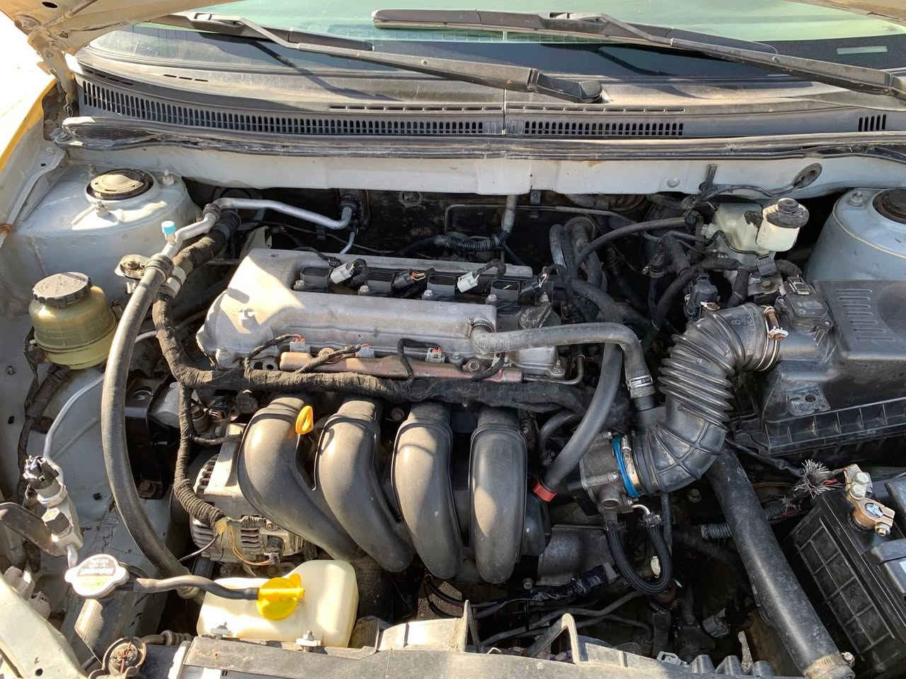 كورلا 2008 نحلةمكينه وكير خير من الله تبريد شغال فقط كلج كمبريسر حترك باسمي ظربتها. بالجاملغ خالية من العيب الشرعي استفسار *********** رايدها ب78 وبيها مجال مكانه الفضلية شارع 40
