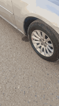 ياالله موديل ١٠ رقم بغداد سياره جاهزه مال جناي مامشتغله خط سونار مرفق مع صور سعر ١٢٠ رقمي ***********
