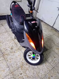 ماكس عدله • بوشة ٤٩ • سلف وهندل