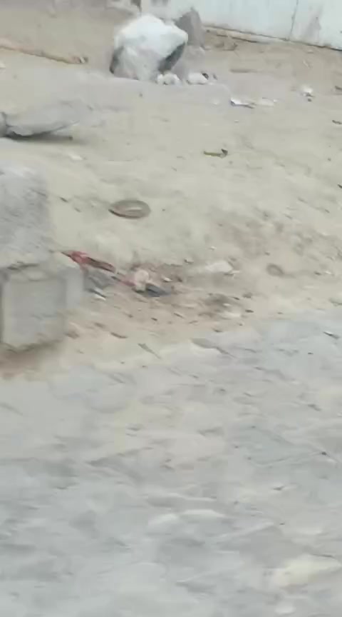 مكلف بل نشر دوانم الشعله
بيت ٧٥ متر وكاع هم ٧٥متر  مربوط بشارع ٥ كيلو  
البيت مكون من ٤ غرف طاقين وكاع مثل ما واظحه بل تصوير ماء كهرباء مجاري  
*********** صاحب البيت وكاع
