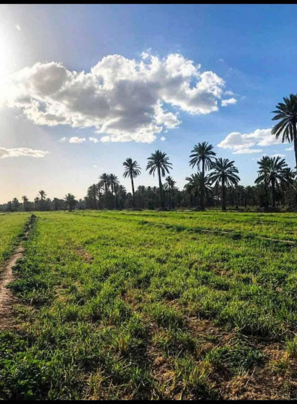 🔥 للبيع المستعجل ارض ركن على شارعين بموقع مميز بجانب مرقد بنات الحسن
📐 المساحة: 2 دونم بجانب الصب الاروائي الرئيسي
▫️ كل دونم 50×50 متر (ركن)
✔️ الأرض كاملة الخدمات:
⚡ كهرباء
🚰 مي شرب
💧 مي سقي
📍 موقع حيوي وقريب من كلشي:
▫️ قريبة من التبليط
🏥 قريبة من المستوصف
🌿 بجانب المزارع والشاليهات
🏡 مناسبة للسكن أو بناء مزرعة ترفيهية إلك ولعائلتك
💰 سعر الدونم: 15 وقابل للتفاوض
📍 العنوان: بغداد – التاجي، مقابل سبع البور، ذراع دجلة
📞 للاستفسار: ***********
#عقارات_بغداد #التاجي #اراضي_للبيع #فرصة_استثمار #مزارع #شاليهات #استثمار #بيع_اراضي #العراق #عقار #فرصة #ارض_ركن
