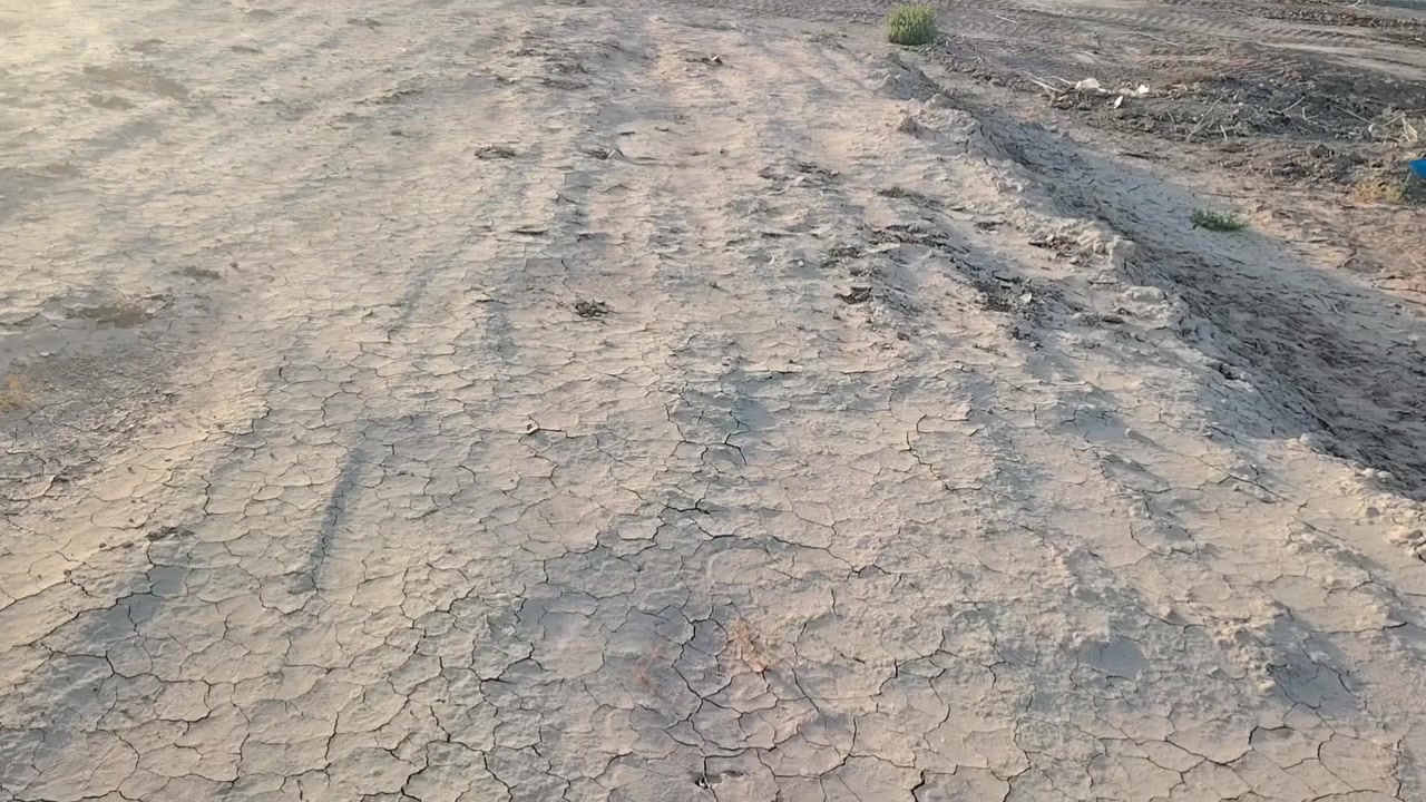 قطعت أرض البيع
بكاع سيد نور
المساحه 200 متر
طابو زراعي سند 25
مدفونه وجهاز ركن
الاستفسار ***********
