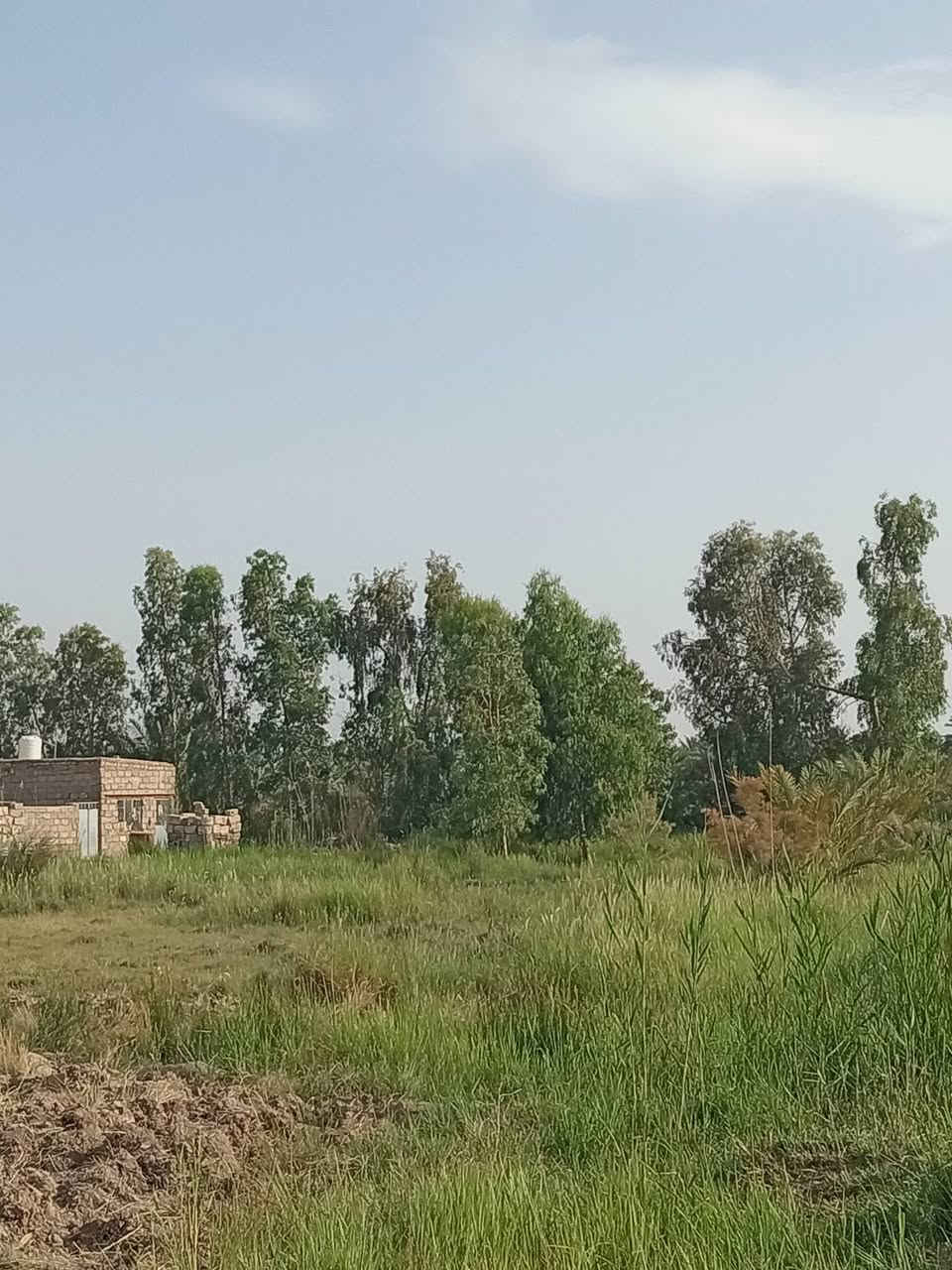 عندي ١١ دونم للبيع  واجهه ٢٥٠ متر
على نهر الوند كافه الخدمات مي وكهرباء وبيها مشتمل الاتصال ***********
