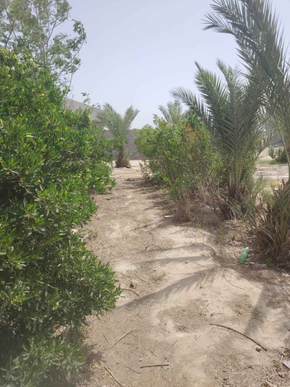 بيت مع أرض مساحه دونم للبيع

العنوان الشهابي قرب جامع الشهيد حامد عبد عباس

الرقم (***********)
