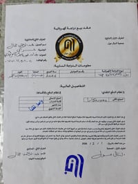 رايان • وولف VIP • بغداد-الدورة