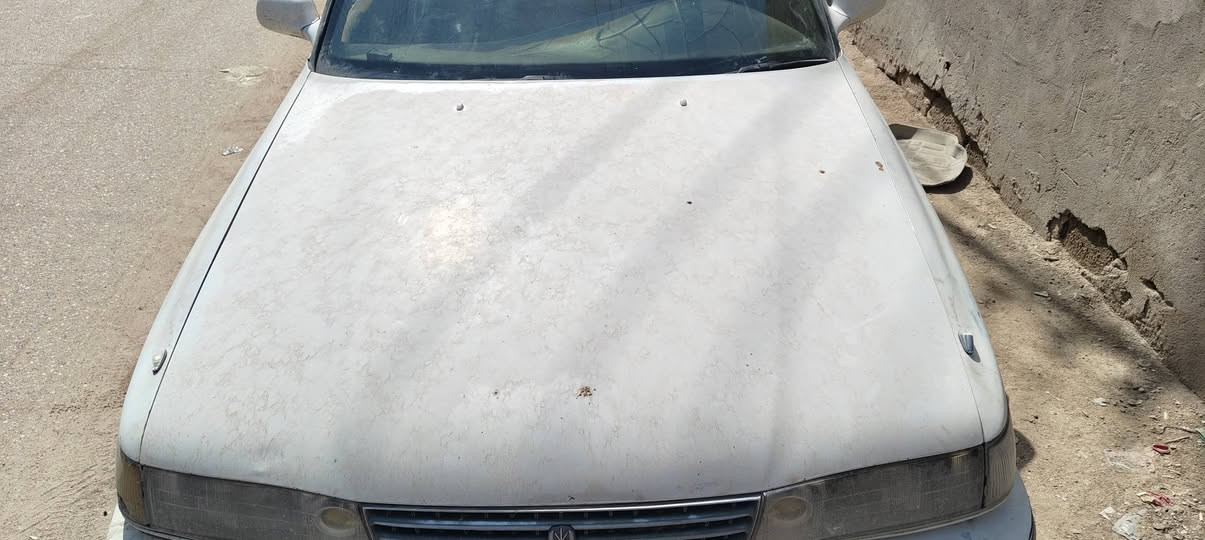 للبيع غراض مارك كصيف 
اربع بيبان 
بنيد+ جنطه
البجم كامل 
الدعاميه الخلفيه 
السعر 600 وبيهن مجال 
العنوان البصرة ابو الخصيب 
***********
