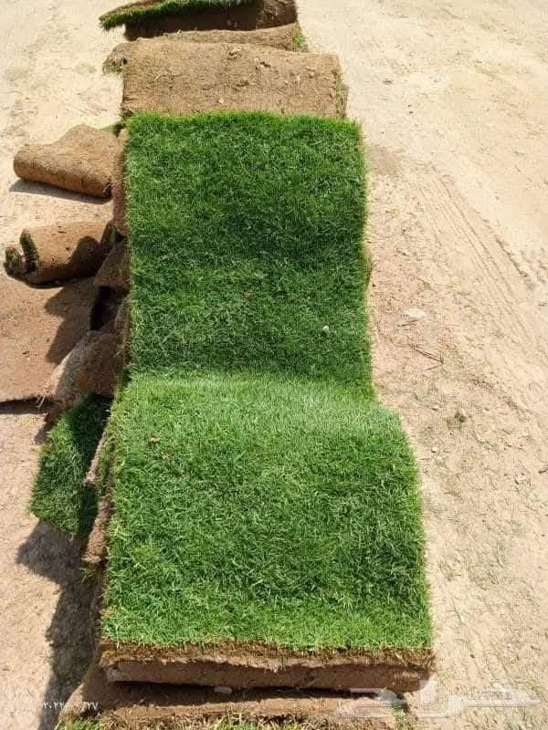 مع بدء موسم زراعه الثيل وترتيب الحدائق وفرنا لكم جميع أنواع الثيل الطبيعي 
#ثيل #هندي⛳️
#ثيل #ايطالي //يوصلك الثيل لباب البيت مباشر من المزرعه فريش وريان 
مستعدين لتنظيم وترتيب الحدايق والادامة  الشهرية بكادر متخصص ذو خبرة بمجال الزراعة  �//
 / /للاستفسار
***********يوجد واتساب 
***********
