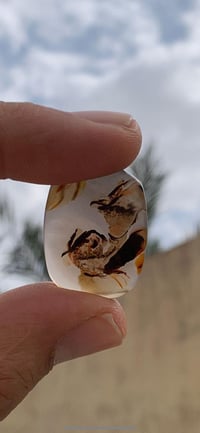 عقيق يماني • مصور • حجر كريم