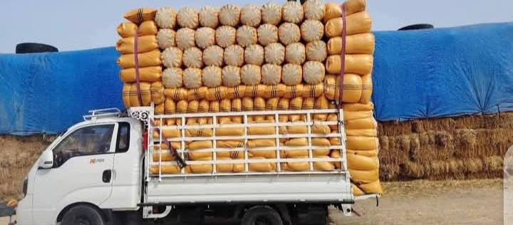 بلاش وينه ليدور تبن للبيع ابيض شحم جميع القياسات توصيل الكل من محافظات نتصل على رقم ***********
