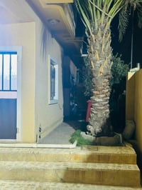 الفلوجه • ٣٣٨م • ٥ غرف نوم