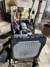 مولدة • بيركس غير أصلي • بصرة