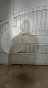 ٠٧٧٤٧٦٨٨٠١٣