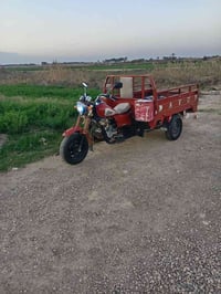 ستوته لبيع 2014    07830849827