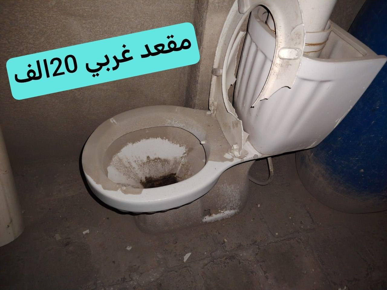 اليفيدنه يراسلني او يتصل ***********
