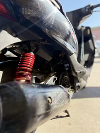 ماكس ثعلب • مقفولة • وكالة الشعب