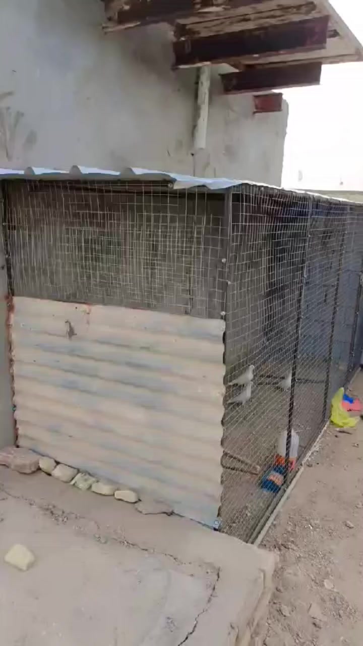 #حداده. اموري. الشيرازي. كافت. اعمال. الحداده
تم كمال محميه الخ تفاصيل للعمال داخل المنشور ***********
