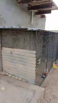 #حداده. اموري. الشيرازي. كافت. اعمال. الحداده تم كمال محميه الخ تفاصيل...