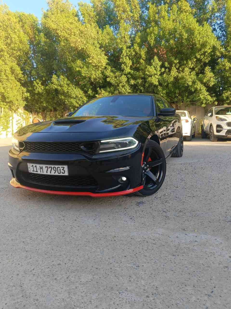فقط بيع اعتذر عن المراوس

السلام عليكم جارجر موديل 2015 sxt حادثه جاملغ وبنيد فقط وسونارهه موجود كير ومحرك وحداديه امامي وخلفي كله جديد تبريد ثلج كهربائيات كلهه شغاله وعلى وضع ماشيه 119 ميل حقيقي وعل فحص الشركه مواصفات ال sxt المعروفه سته سلندر شاشه چبيره وتحكم ستيرن جهتين كشنات جلد احمر كشن السائق كهرباء سستم صوت  تخم ويل نجمه حجم 20  وتخم تاير جديد تو سايز  السياره جديده بمعنى الكلمه وجاهزه بأسمي تحويل مباشر سنويه وارقام جدد السعر 164 وبيه مجال بسيط جدا الشراي يتصل واني خادم *********** العنوان بغداد الكرخ  ملاحضه الوشراي لايعلق ويكسر بحلالي فدوه وفقط بيع اعتذر عن المراوس وشكراً 🌷
