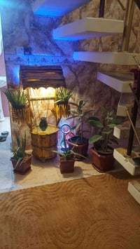 نافورة • داخلي • خشب