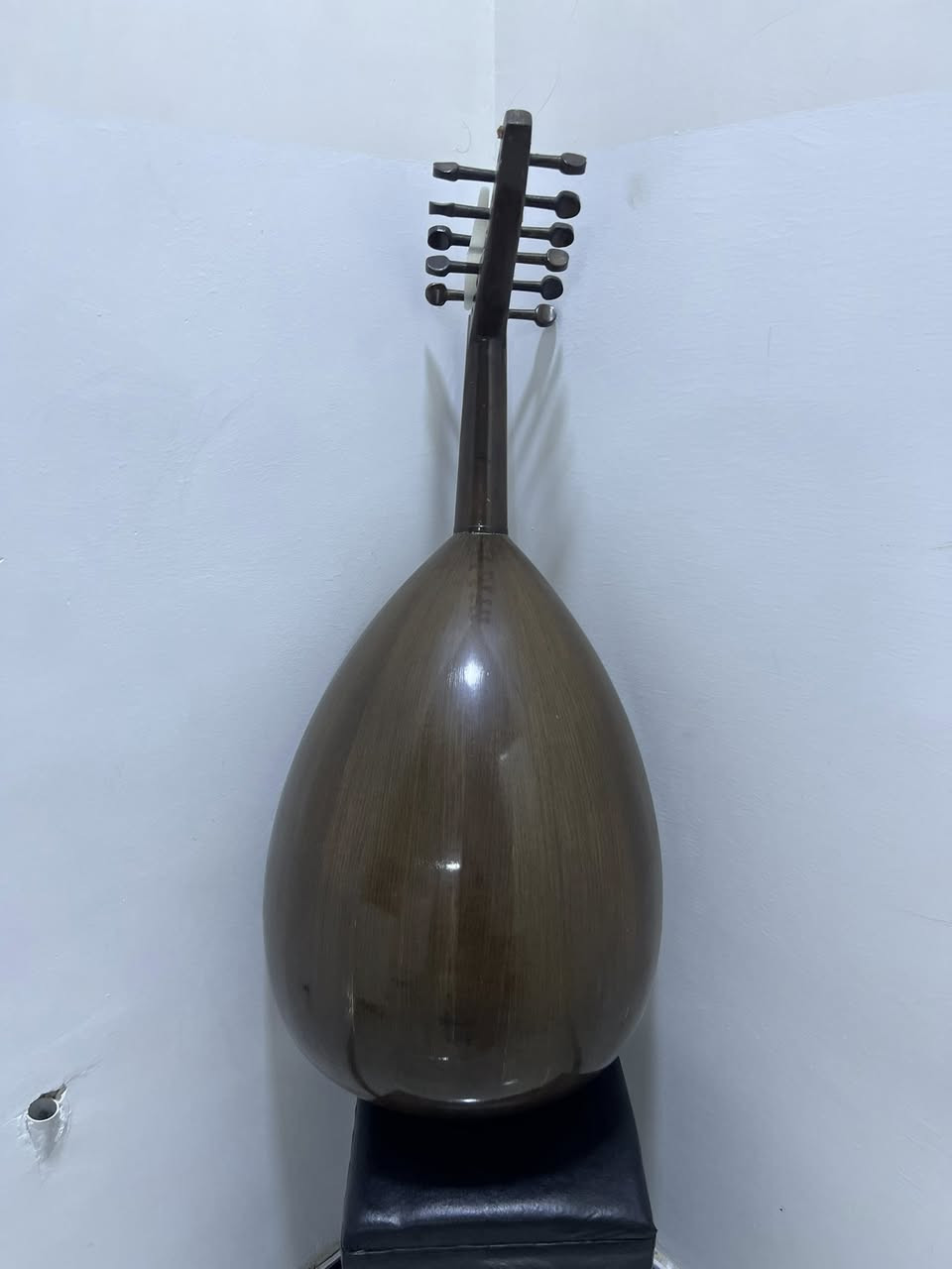 عود زرياب صوت دافأ وممتاز   السعر 135 رقم الهاتف ***********
