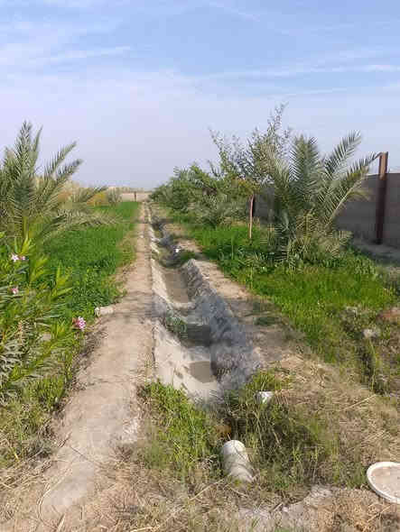 بستان طابو للبيع دونم   ونص مساحه 3712متر خدمات ماء كهرباء قريب  عليه التبليط مزروع كامل نخيل 22شويثي وبت  السوده وبريم من اجود الانواع سدر مطعم 14سدره تفاحي وعرموطي رمان 8تفاح 2تين 2  شريف الرضي على شارع الرئيسي ‏‪***********‬‏
