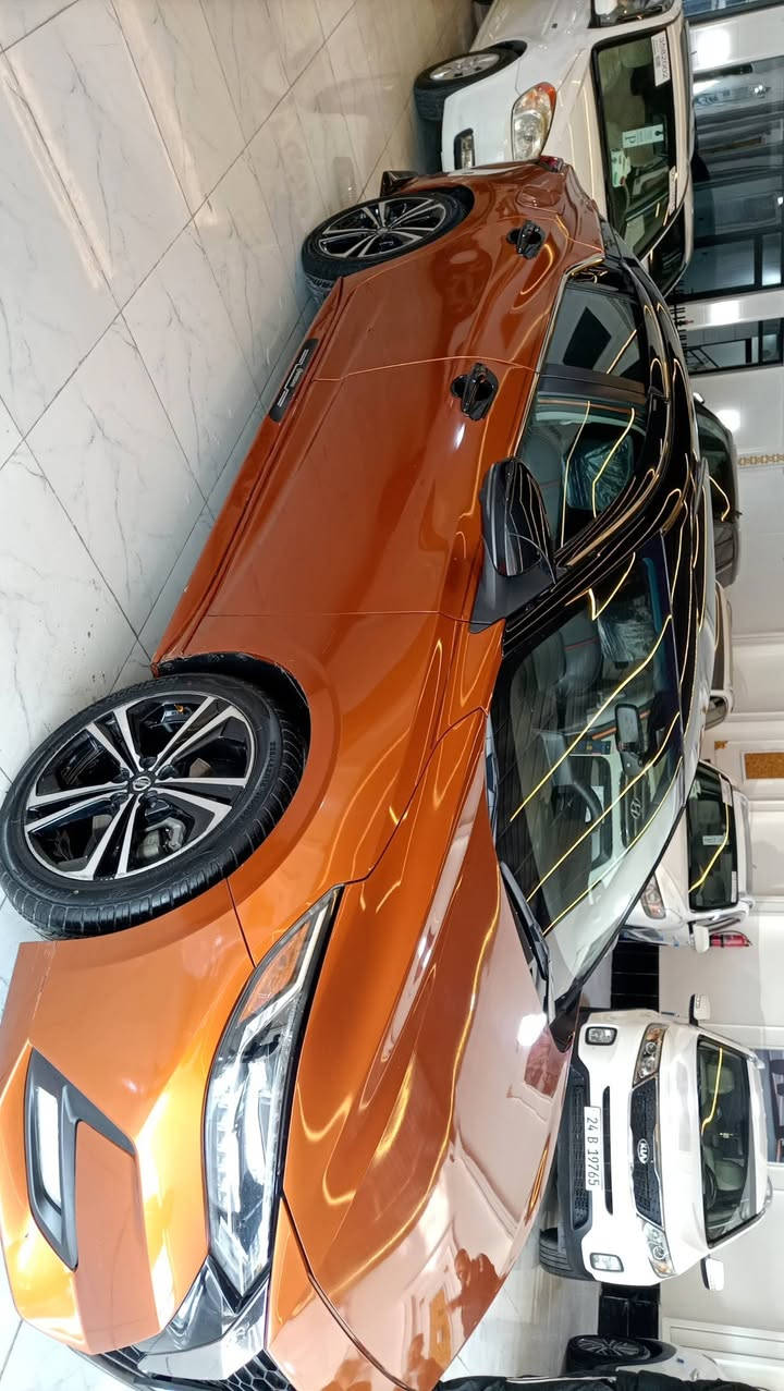 سنترا 2021 بلا صبغ فول الفول هزة وسنوية ورقم كلا جديد السعر 140 للاتصال *********** / ***********
