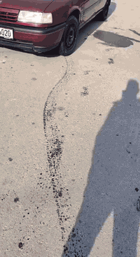 فكترا • حجم ١٨ • نينوى