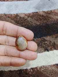 داودي • بصرة • حي الحسين