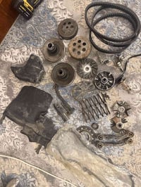 سكنس • بريز • ثعلب