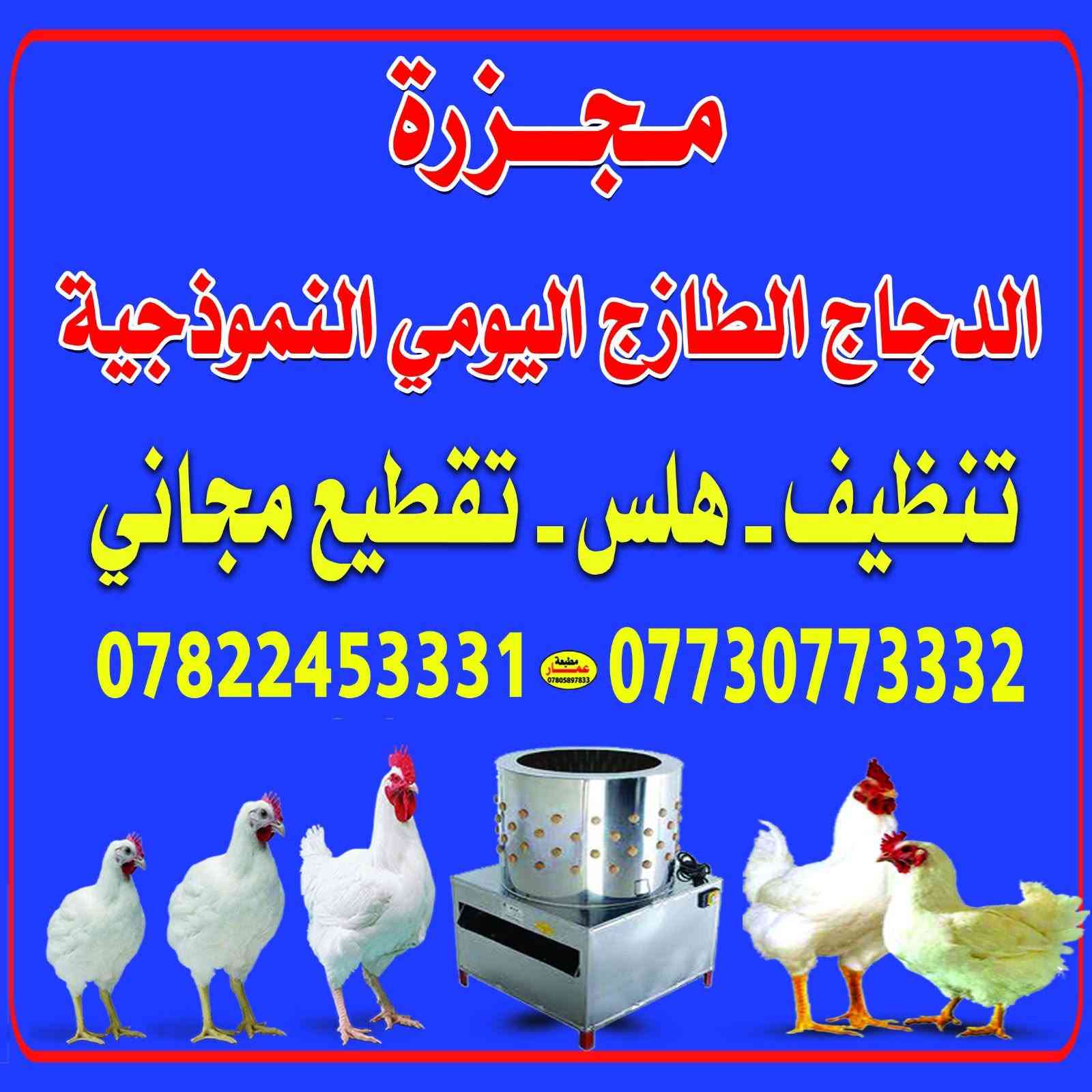 يوجد لدينا خدمة توصيل***********العنوان مقابيل #مستشفى القاسم العام مجزرة الدجاج الطازج اليومي النموذجية
